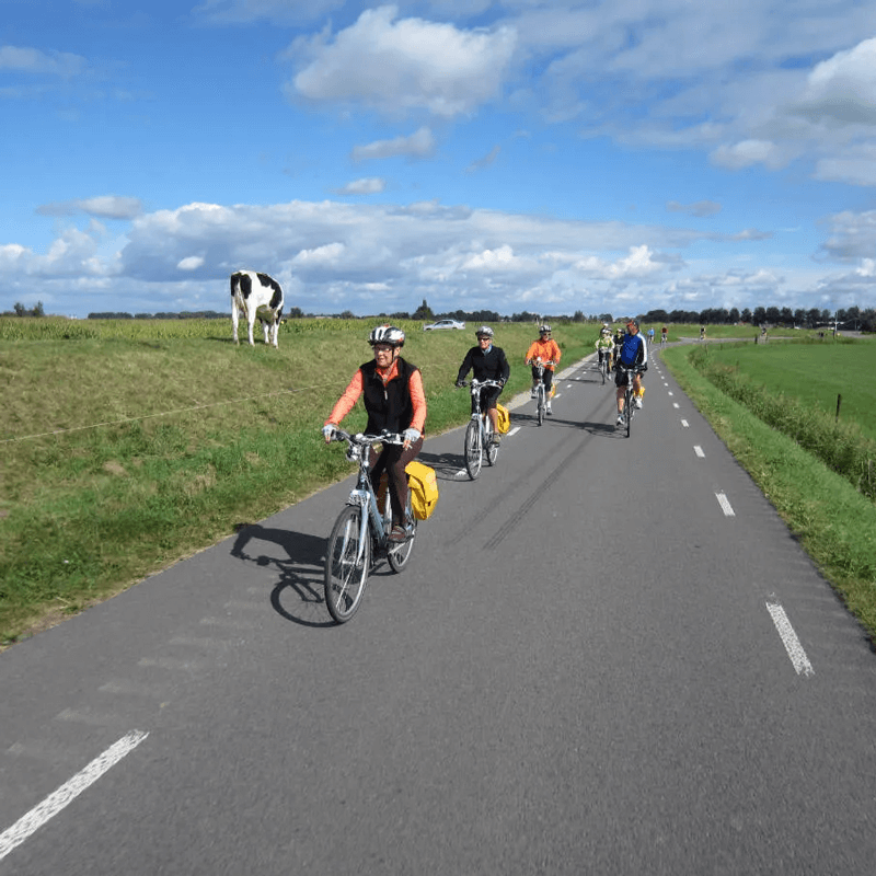 Webdesign De Goorn / Avenhorn, Webdesign Snel een webdesigner - Boost jouw Online Succes met onze Hulp