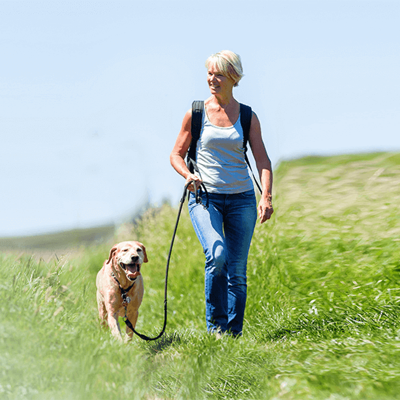 Webdesign De Goorn / Avenhorn, Webdesign Snel een webdesigner - Boost jouw Online Succes met onze Hulp